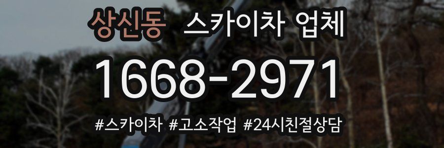 상신동 스카이차 업체