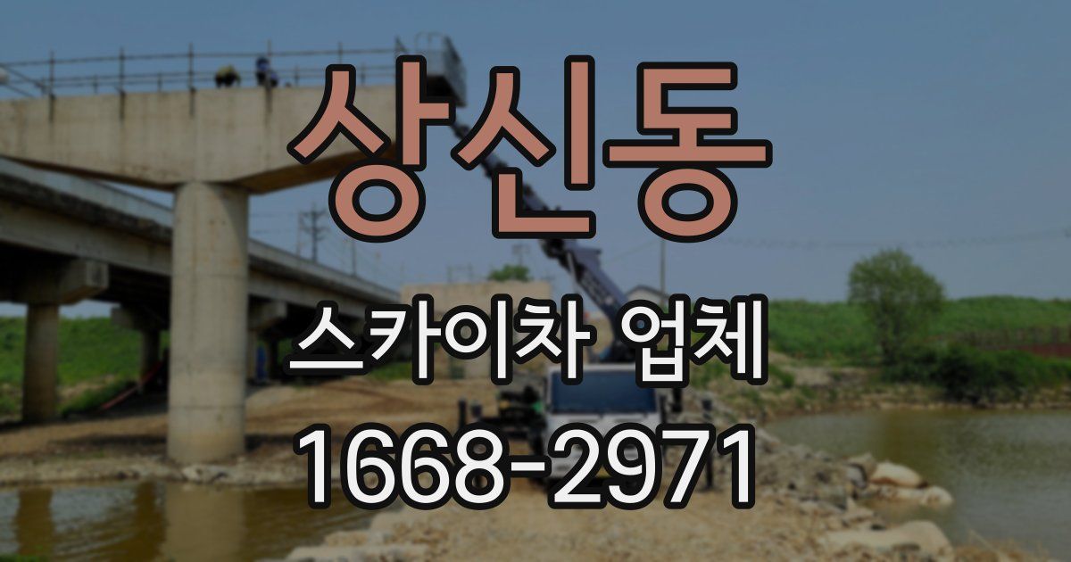 상신동 스카이차 업체