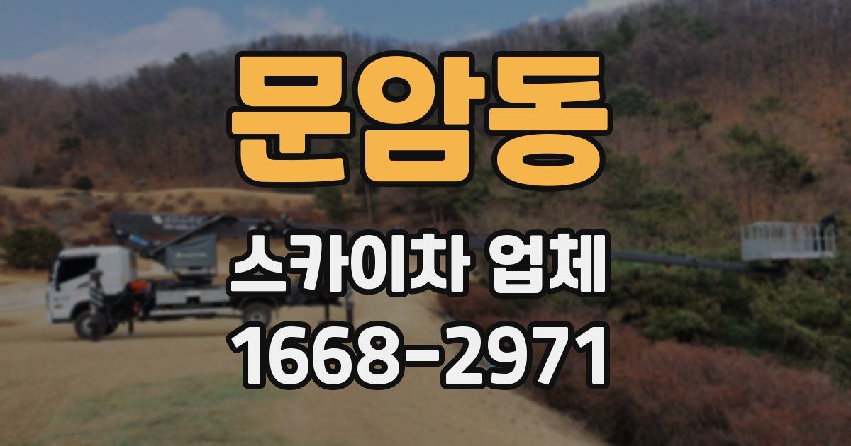 문암동 스카이차 업체