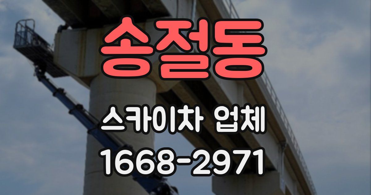 송절동 스카이차 업체