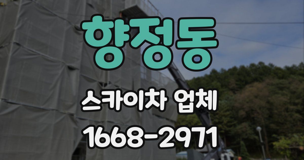 향정동 스카이차 업체