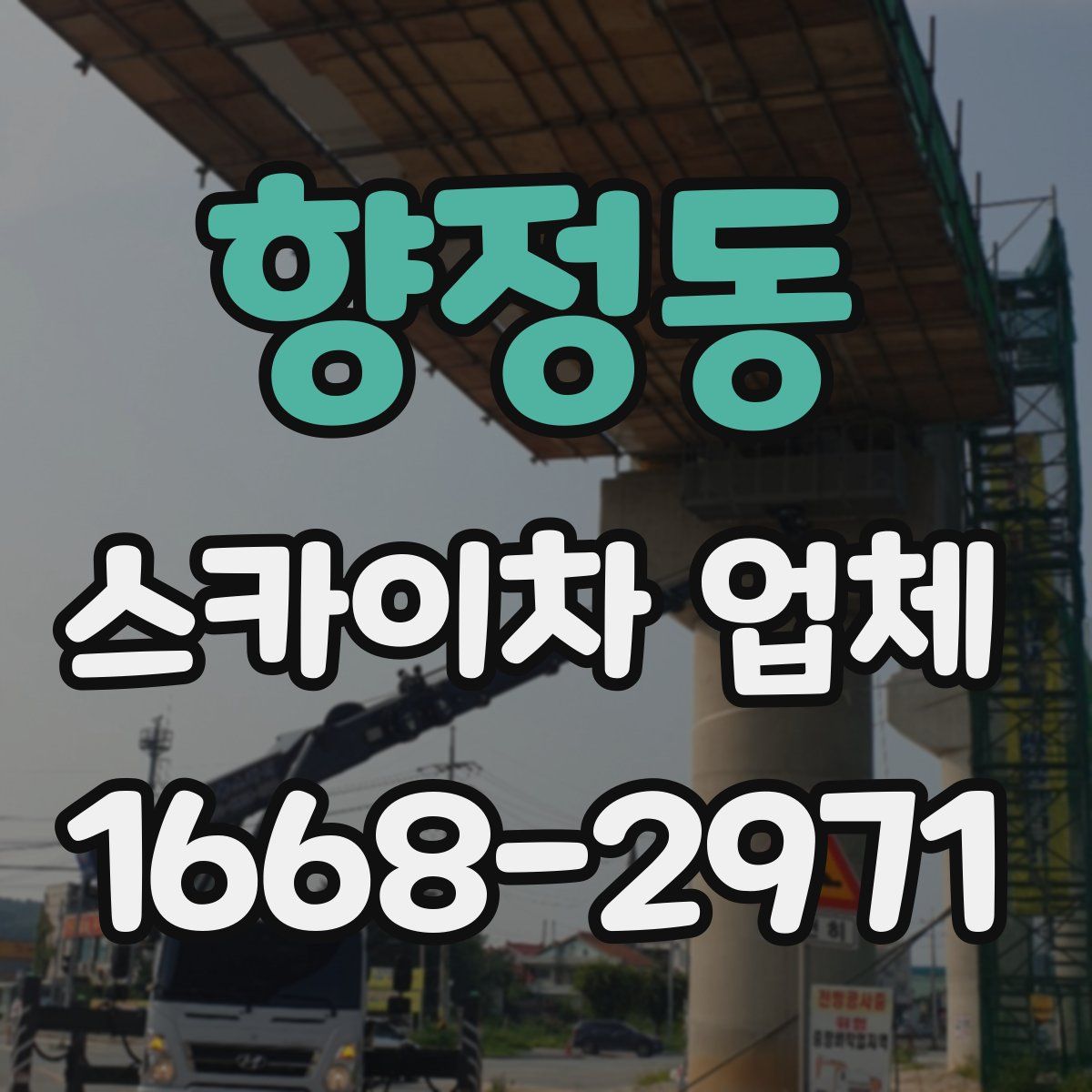 향정동 스카이차 업체