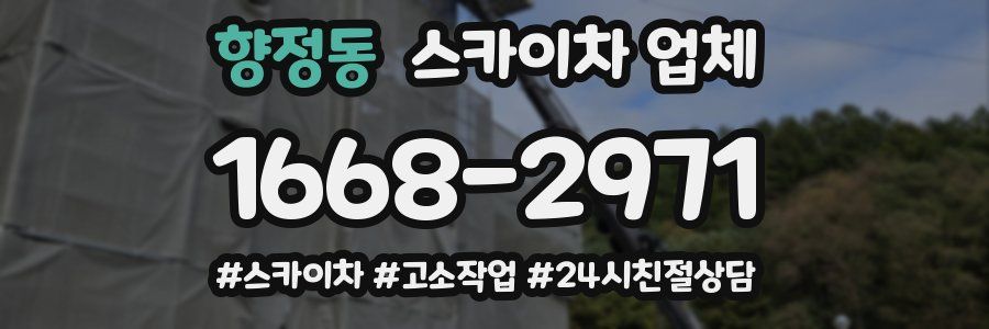 향정동 스카이차 업체