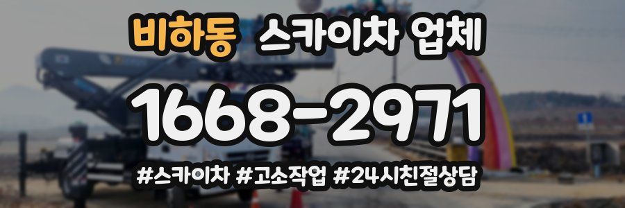 비하동 스카이차 업체