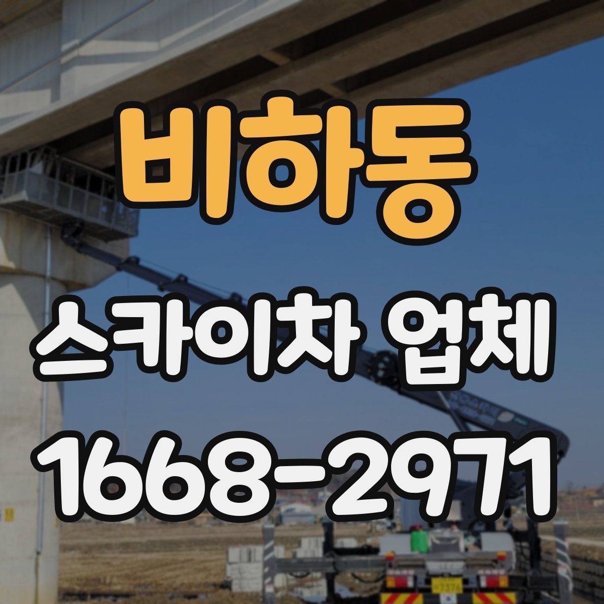 비하동 스카이차 업체