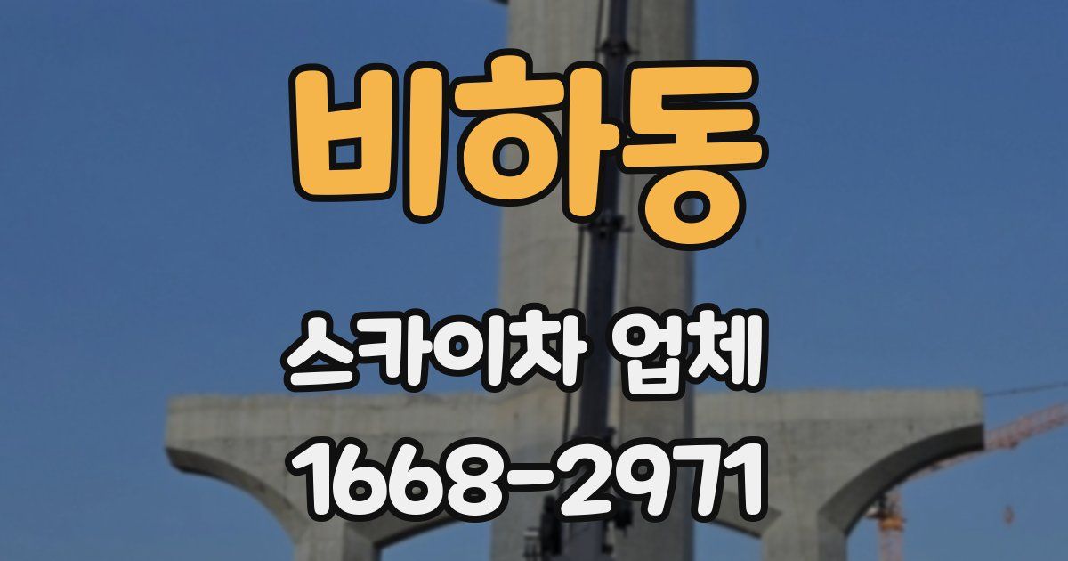 비하동 스카이차 업체