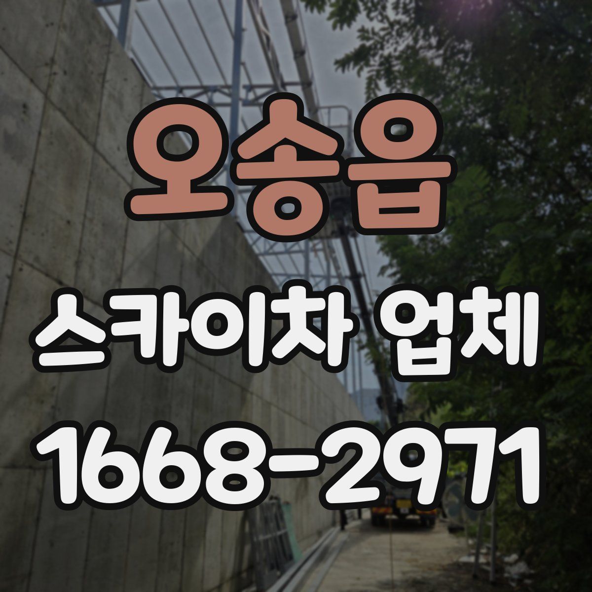 오송읍 스카이차 업체