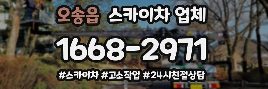 오송읍 스카이차 업체