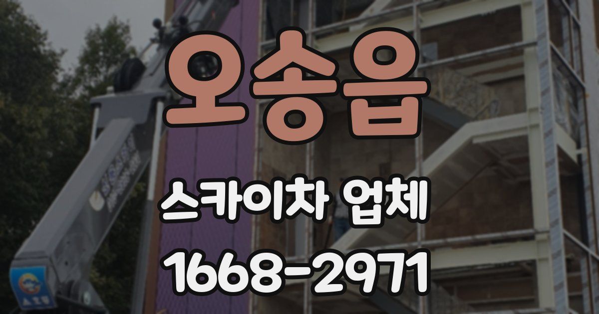 오송읍 스카이차 업체