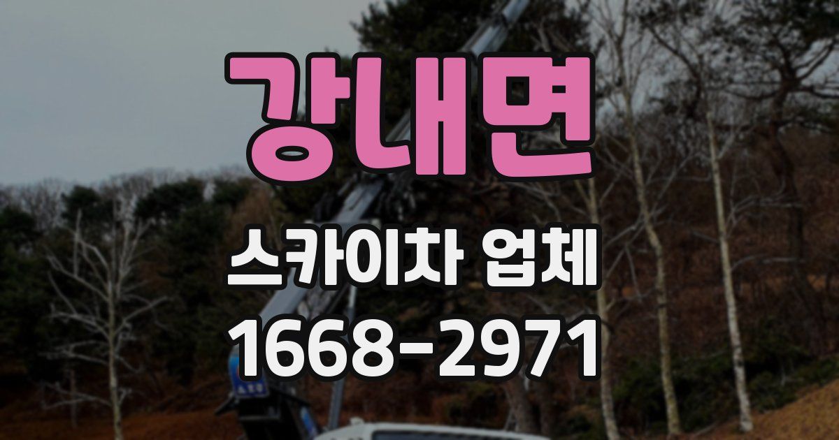 강내면 스카이차 업체