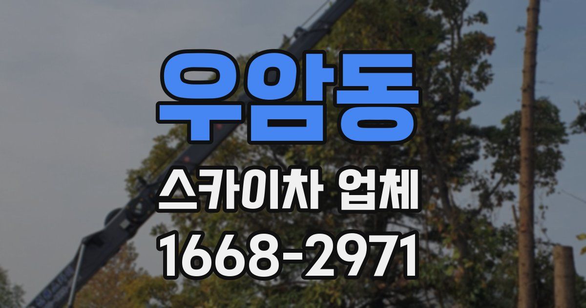 우암동 스카이차 업체