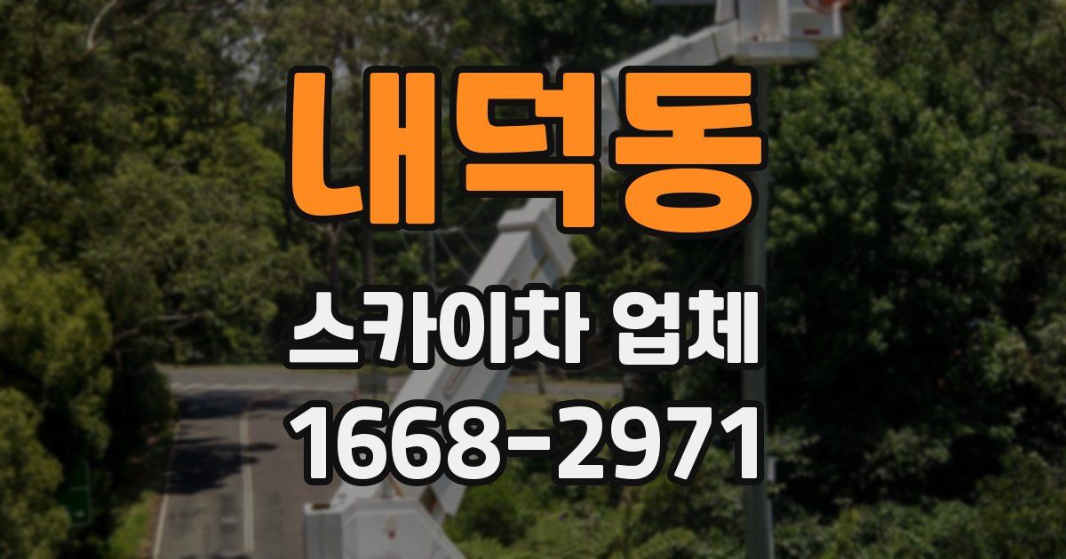 내덕동 스카이차 업체