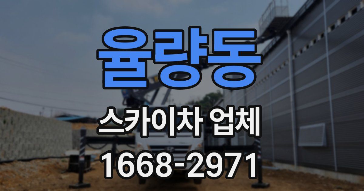 율량동 스카이차 업체