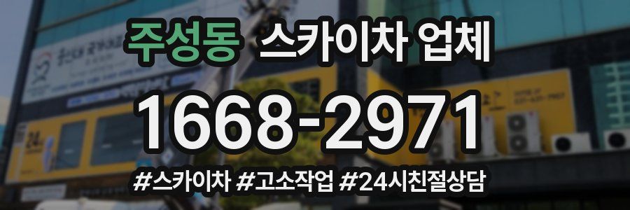주성동 스카이차 업체