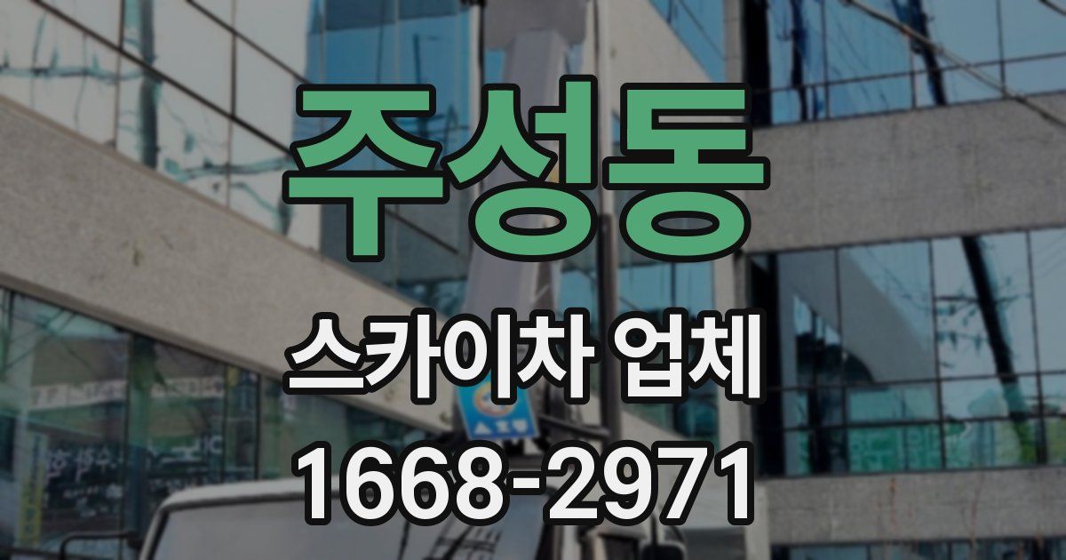 주성동 스카이차 업체