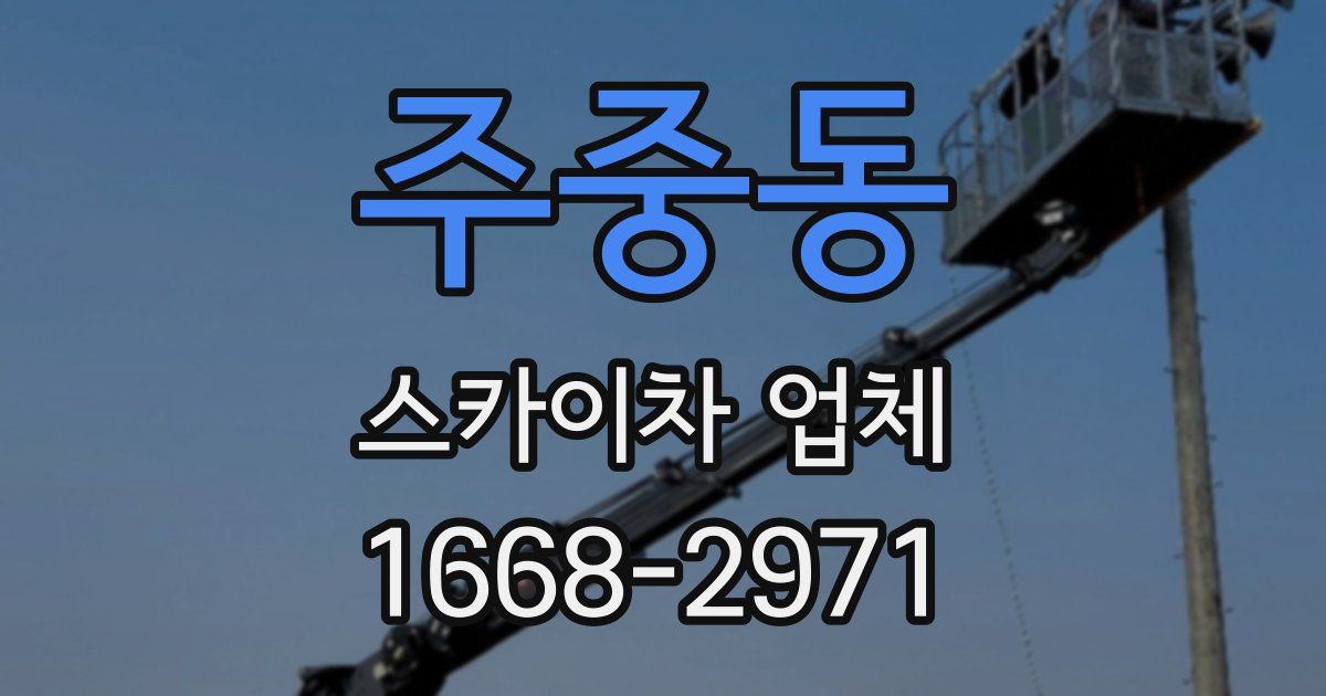 주중동 스카이차 업체