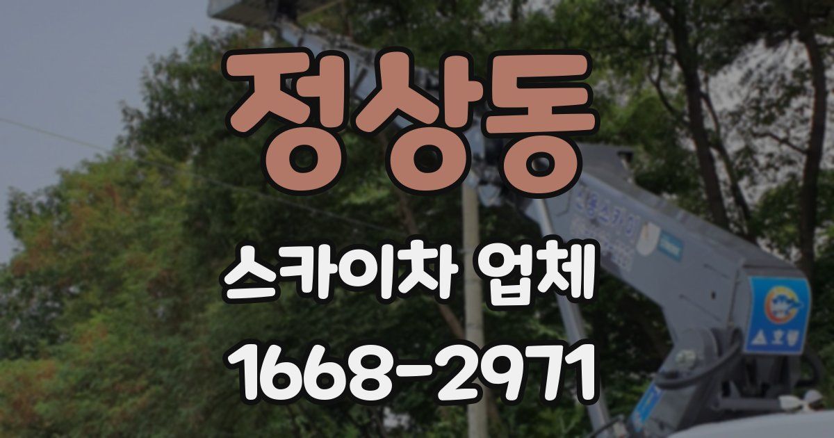 정상동 스카이차 업체