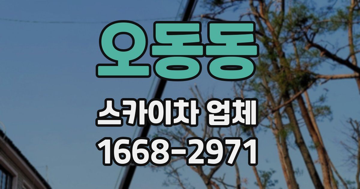 오동동 스카이차 업체