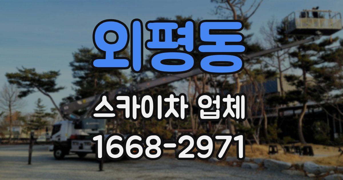외평동 스카이차 업체