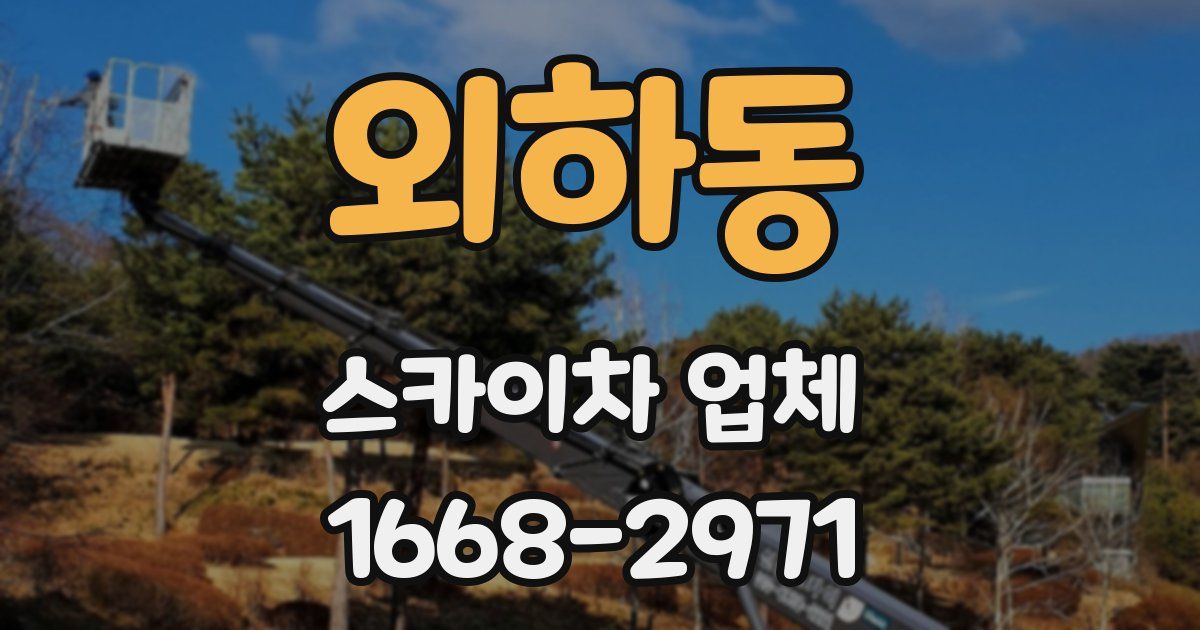 외하동 스카이차 업체