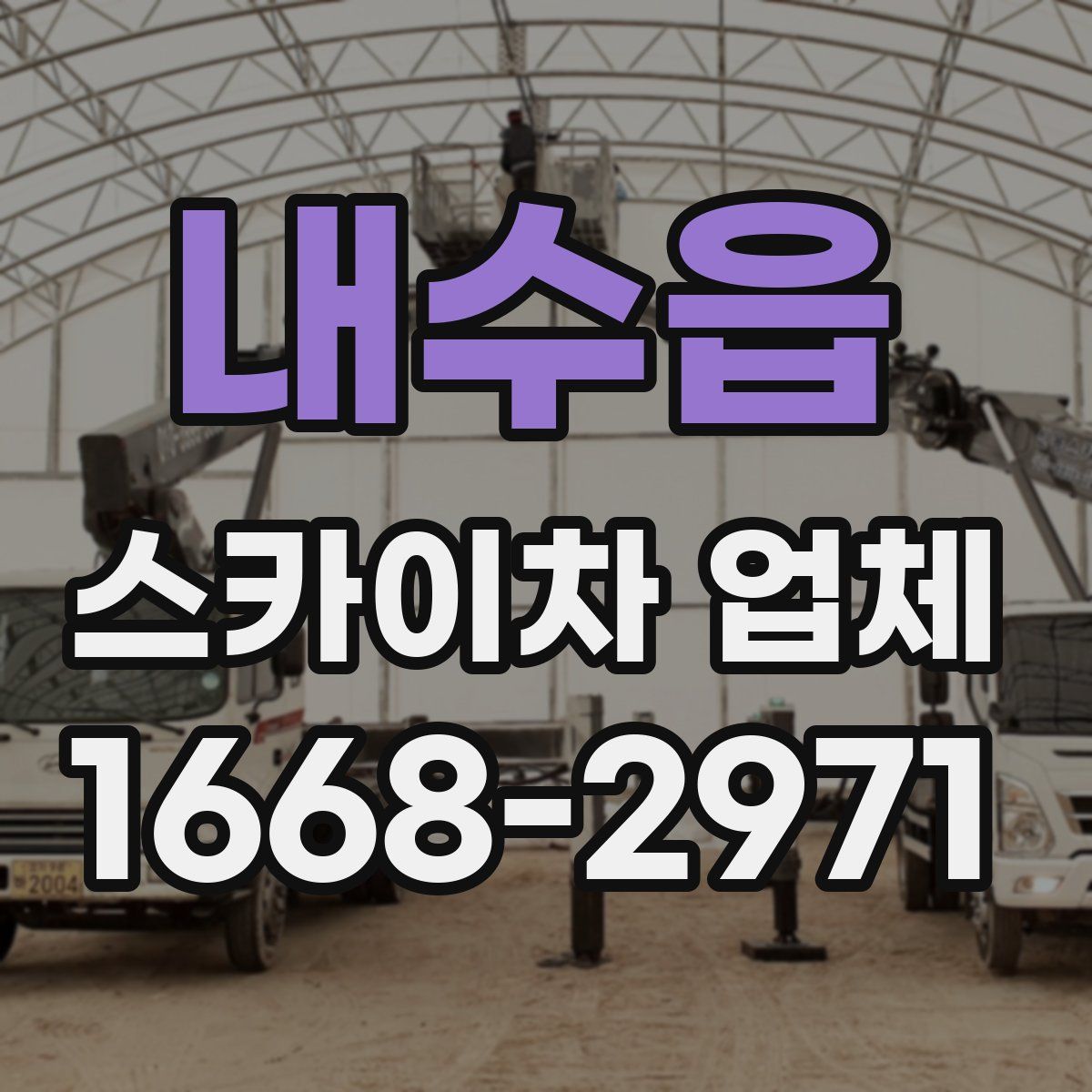 내수읍 스카이차 업체