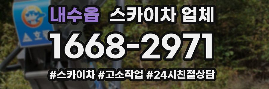 내수읍 스카이차 업체