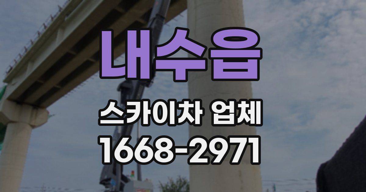 내수읍 스카이차 업체