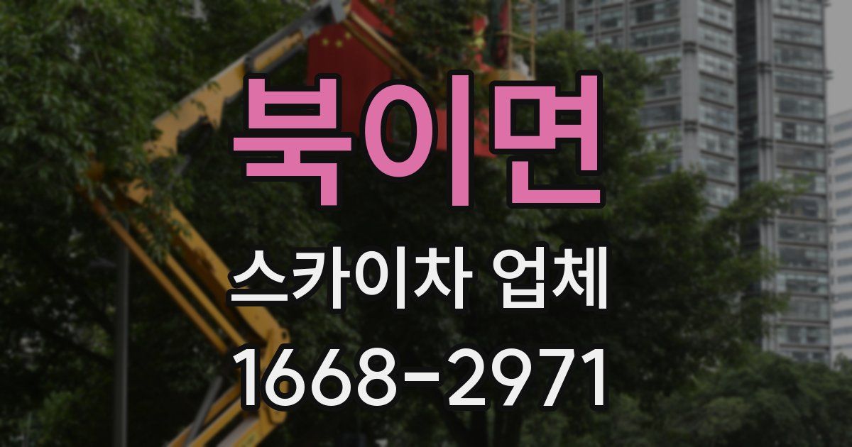북이면 스카이차 업체