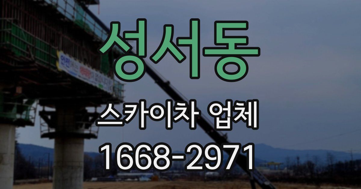 성서동 스카이차 업체