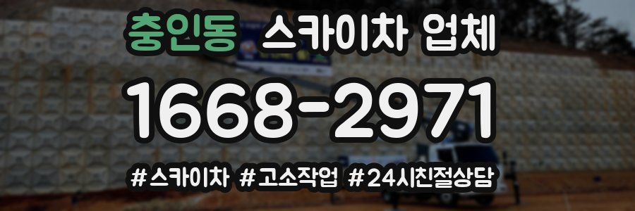 충인동 스카이차 업체