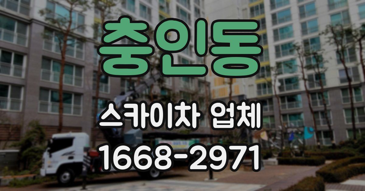 충인동 스카이차 업체