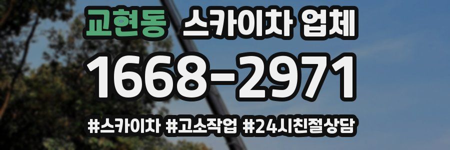 교현동 스카이차 업체