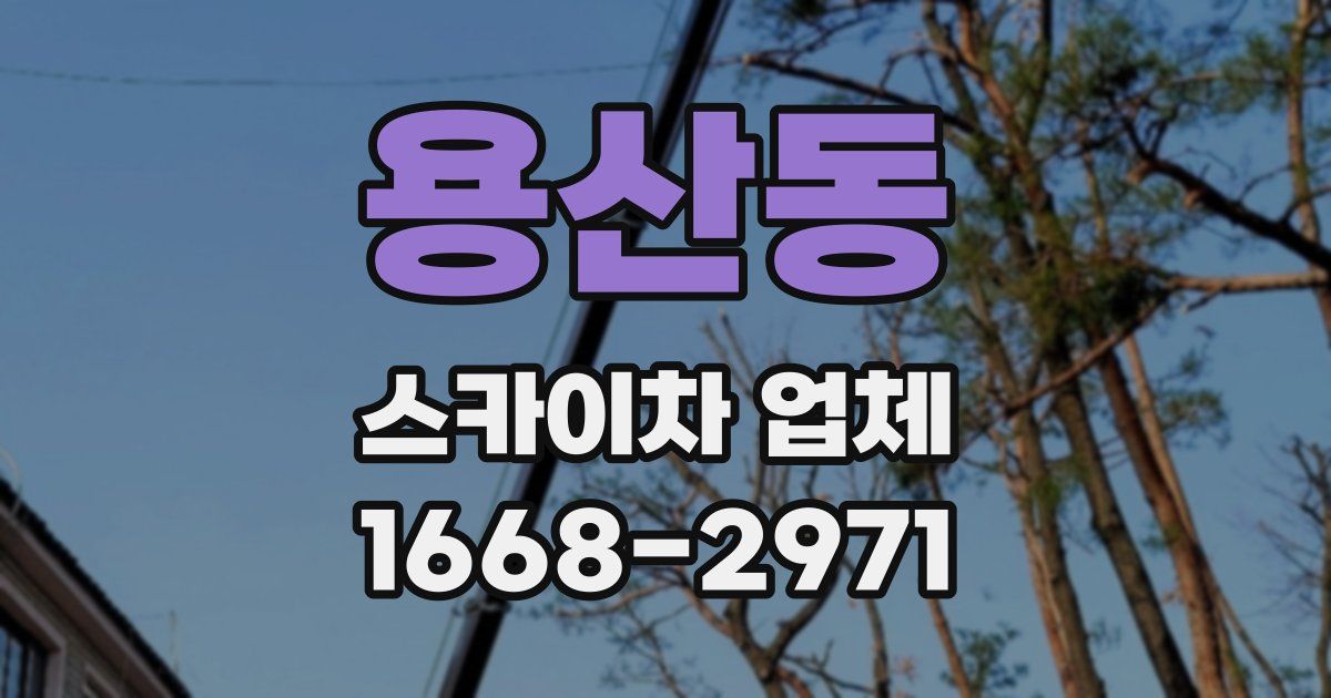 용산동 스카이차 업체