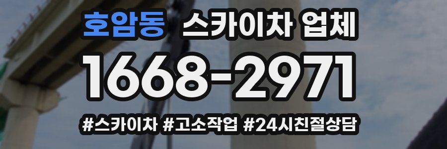 호암동 스카이차 업체