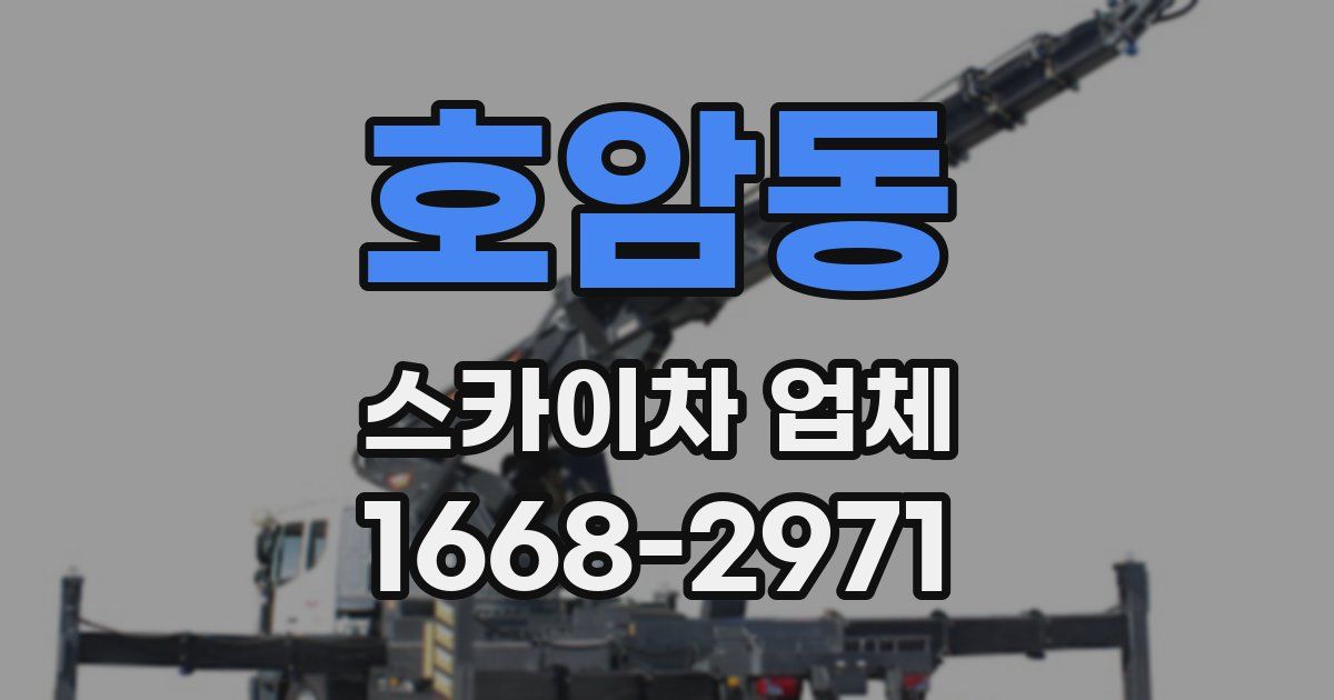 호암동 스카이차 업체