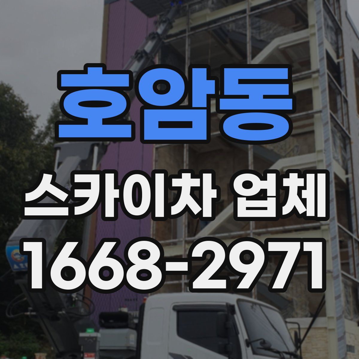 호암동 스카이차 업체