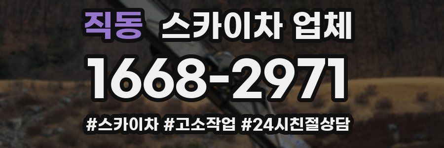 직동 스카이차 업체