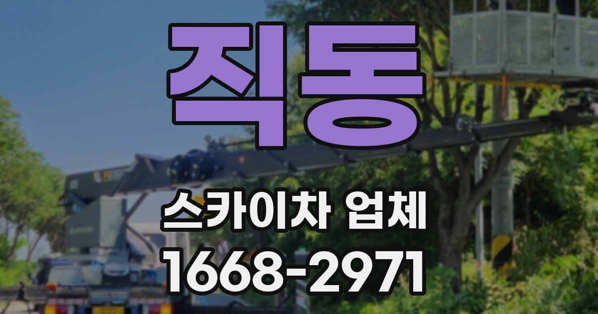 직동 스카이차 업체