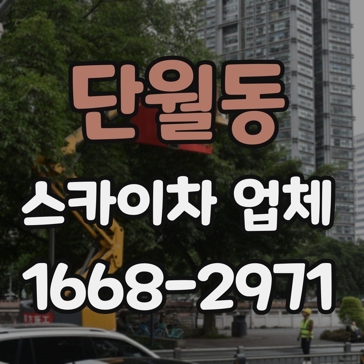 단월동 스카이차 업체