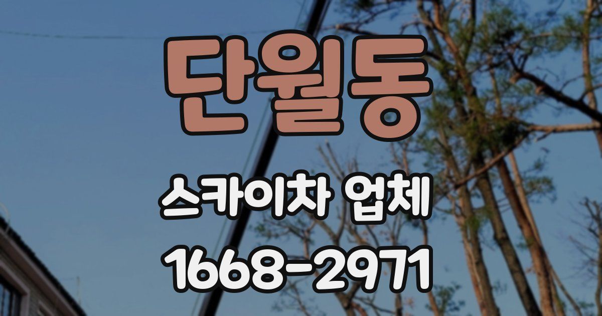 단월동 스카이차 업체