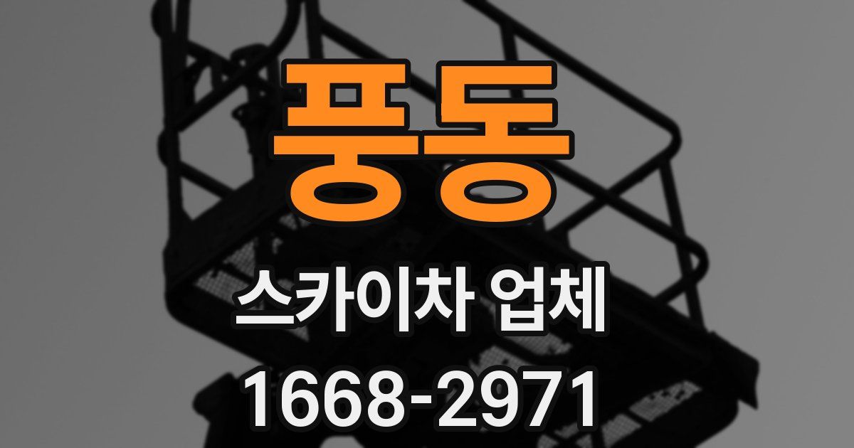 풍동 스카이차 업체