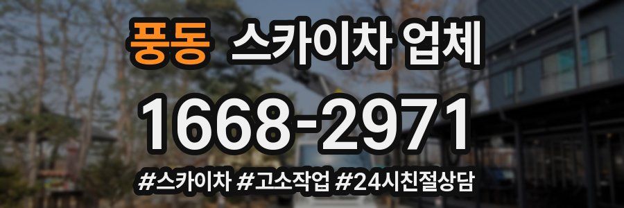 풍동 스카이차 업체