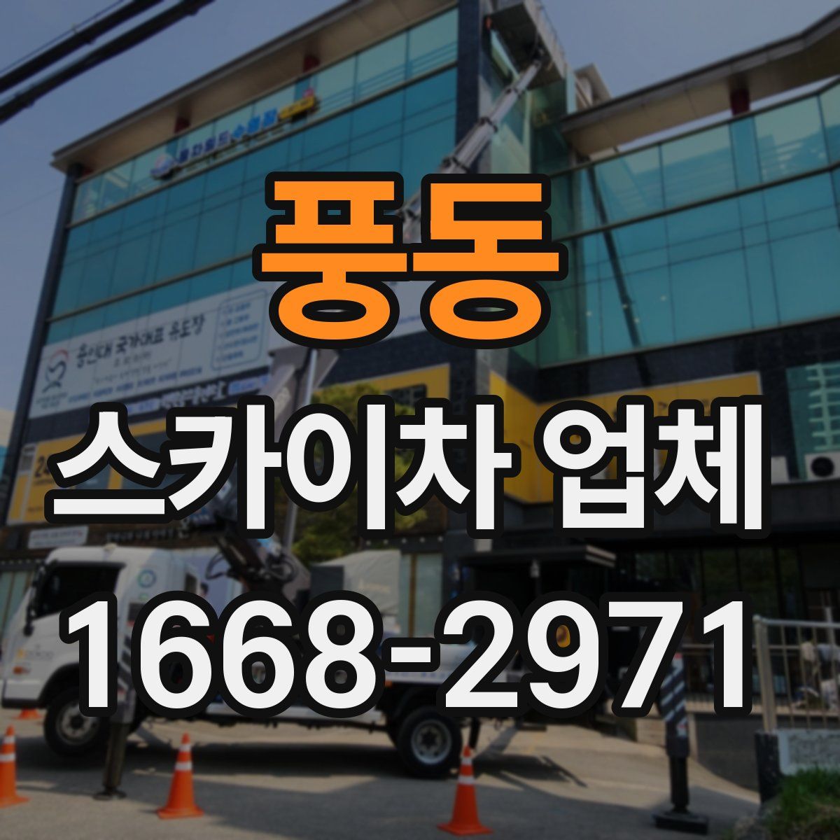 풍동 스카이차 업체