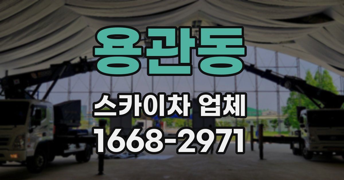 용관동 스카이차 업체