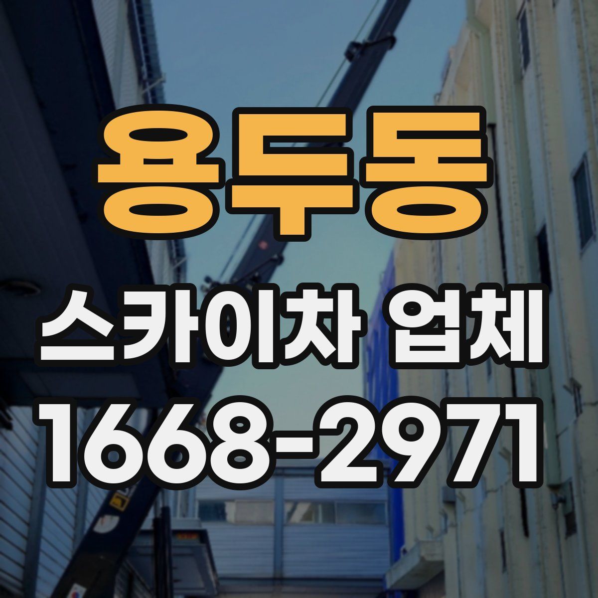 용두동 스카이차 업체