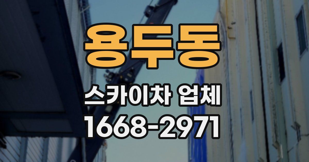 용두동 스카이차 업체