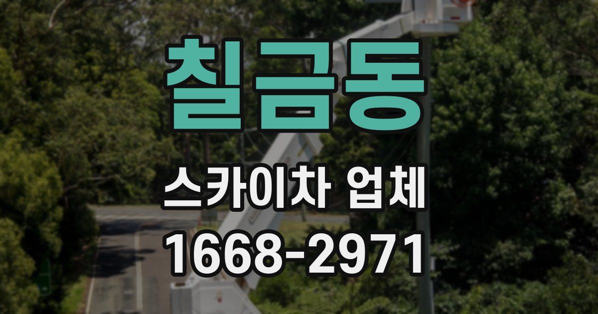 칠금동 스카이차 업체