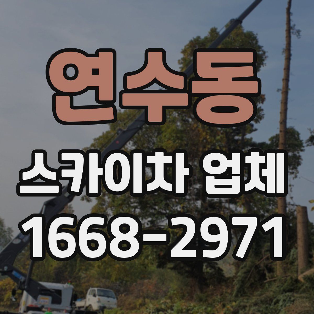 연수동 스카이차 업체