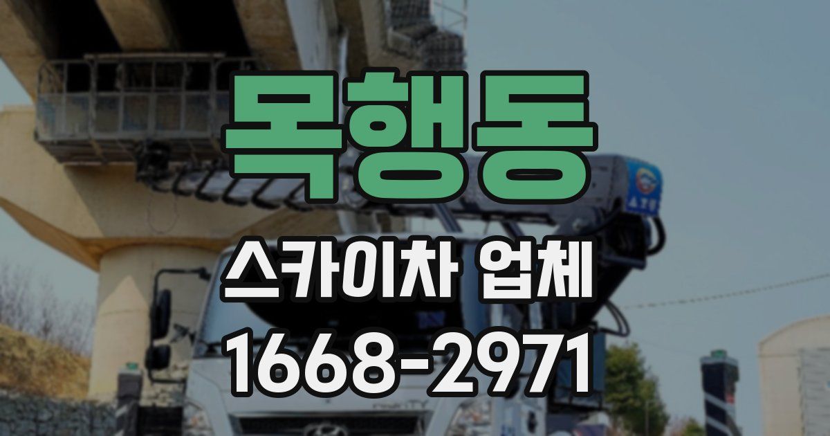 목행동 스카이차 업체