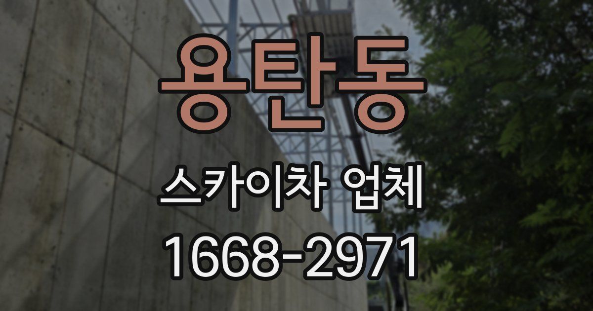 용탄동 스카이차 업체